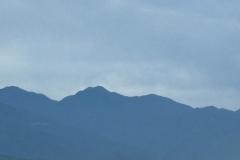 A598B163-99DB-4F18-BB88-92D7DB64DA58