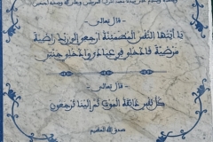 IMG_140C358B-3098-472B-9544-96C978040348