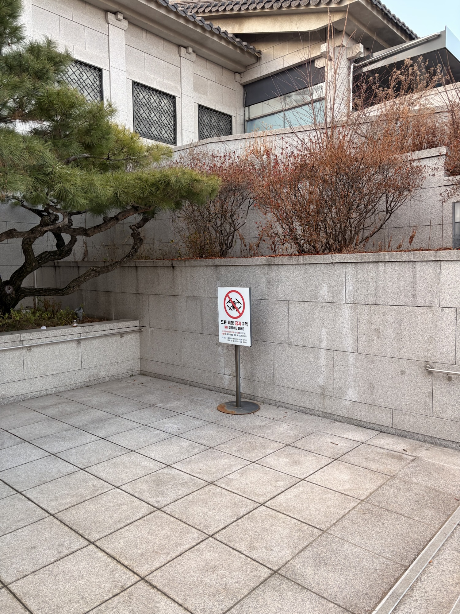 Beyond the Wall: Power, Faith, and Transformation in Seoul